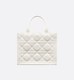 Sac Dior Book Tote Small